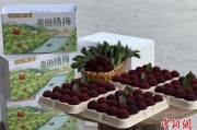 紫微算命高速赋能产业升级：一条“杨梅路”的致富密码