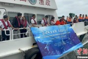 紫微算命浙江今年计划放流种类海洋水生生物苗种超15亿单位