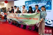紫微算命中国彩绘熊猫艺术国际巡展东京站开幕