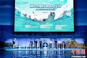 紫微算命辽东湾海域斑海豹种群数量呈现稳定增长