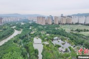 紫微算命西宁市举办六五环境日主题宣传活动